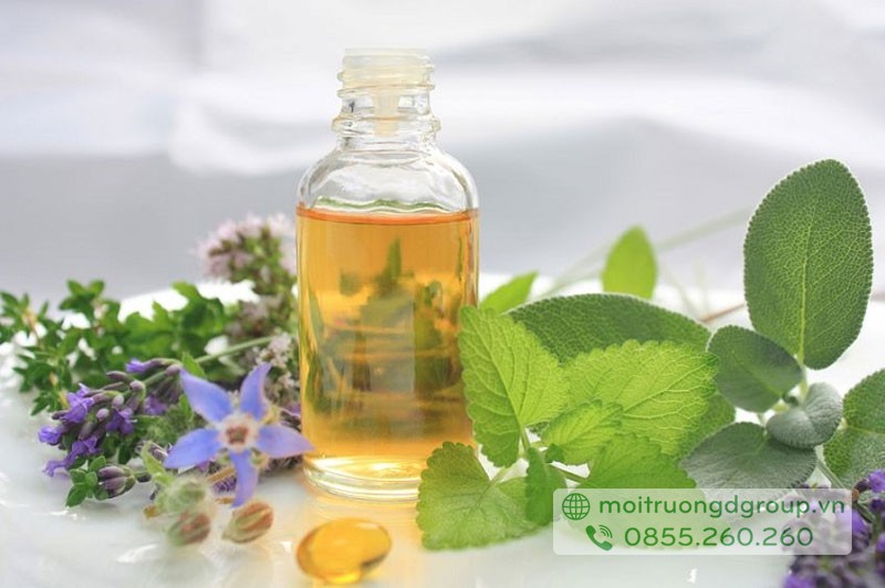 thảo dược khử mùi nhà vệ sinh